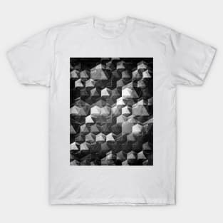 AS THE CURTAIN FALLS (MONOCHROME) T-Shirt